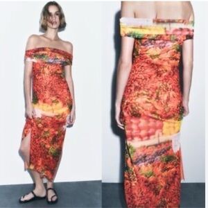 Zara Picante All Over Print Maxi Dress Size Small NWOTS Bloggers Favorite